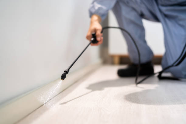 Rodent Entry Point Assessment in Fitchburg