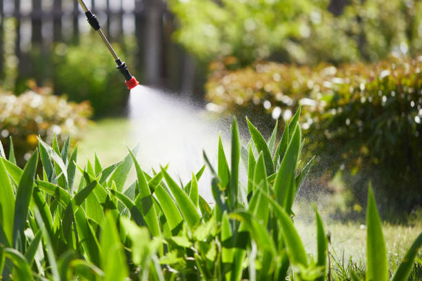 Tamper-Resistant Bait Stations for Rodents in Fitchburg