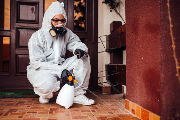 Attic and Crawl Space Rodent Treatment in Fitchburg