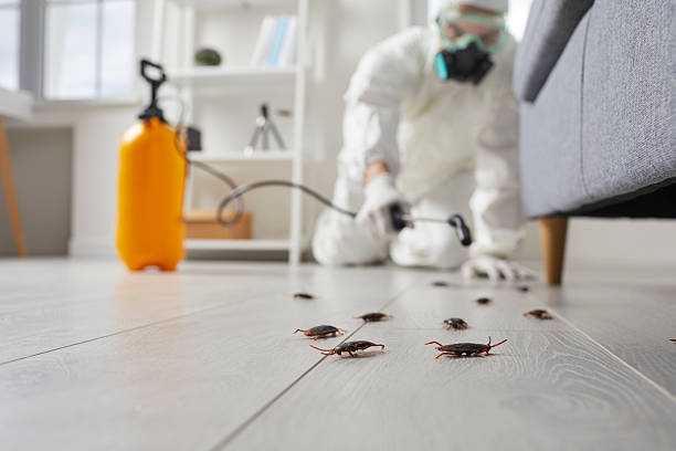 Commercial Rodent Management in Fitchburg